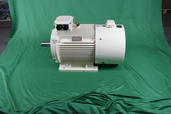 YVFE3 250M-2 55kW 380V Variable Frequency Drive Motor IEC 60034-30